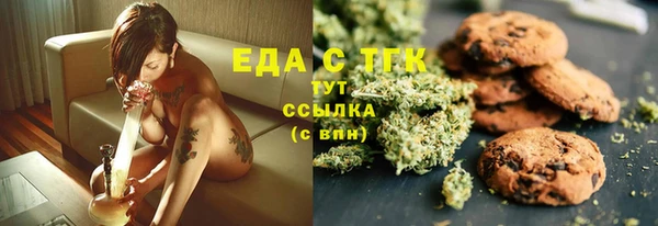 гашик Щигры