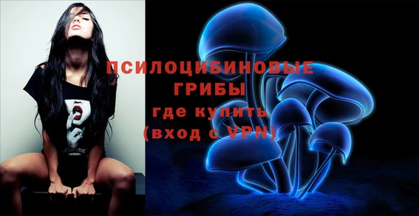 ECSTASY Кинешма