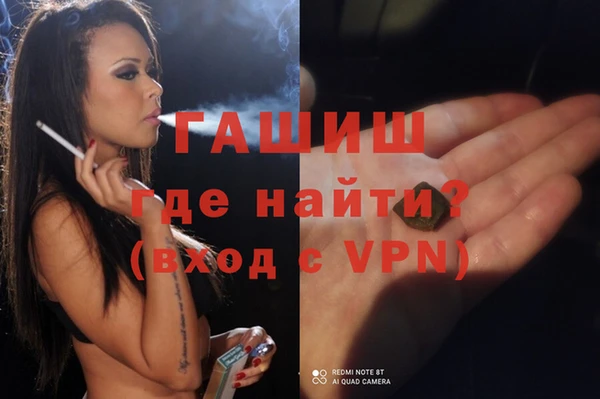 гашик Щигры