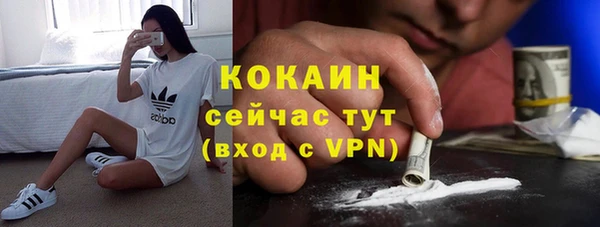 гашик Щигры