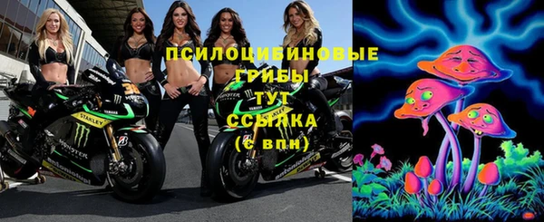 ГАЛЛЮЦИНОГЕННЫЕ ГРИБЫ Касимов