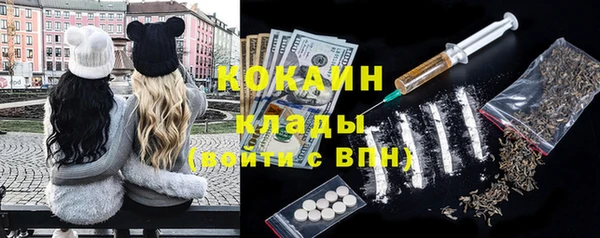 кокс Щучье