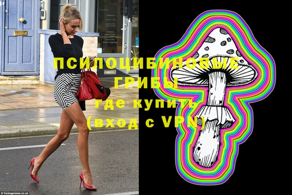 гашик Щигры