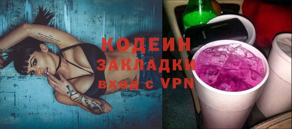 гашик Щигры