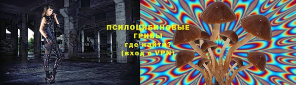 гашик Щигры