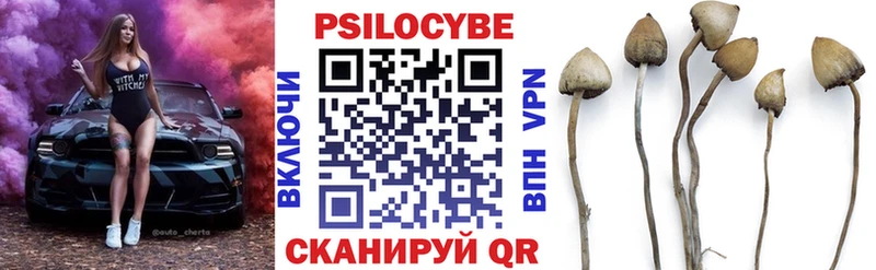 Купить  Анива  Галлюциногенные грибы прущие грибы 